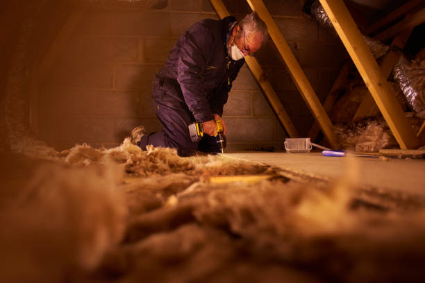 Best Specialized Insulation Services in Washington, MO